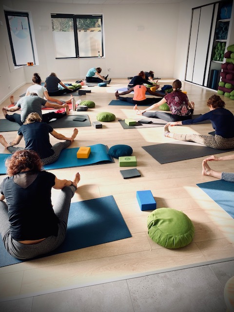 Atelier hatha et Yin