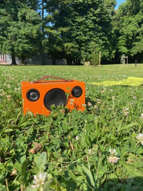 Une pratique au soleil ce matin