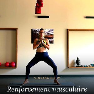 Vinyasa flow et renforcement musculaire